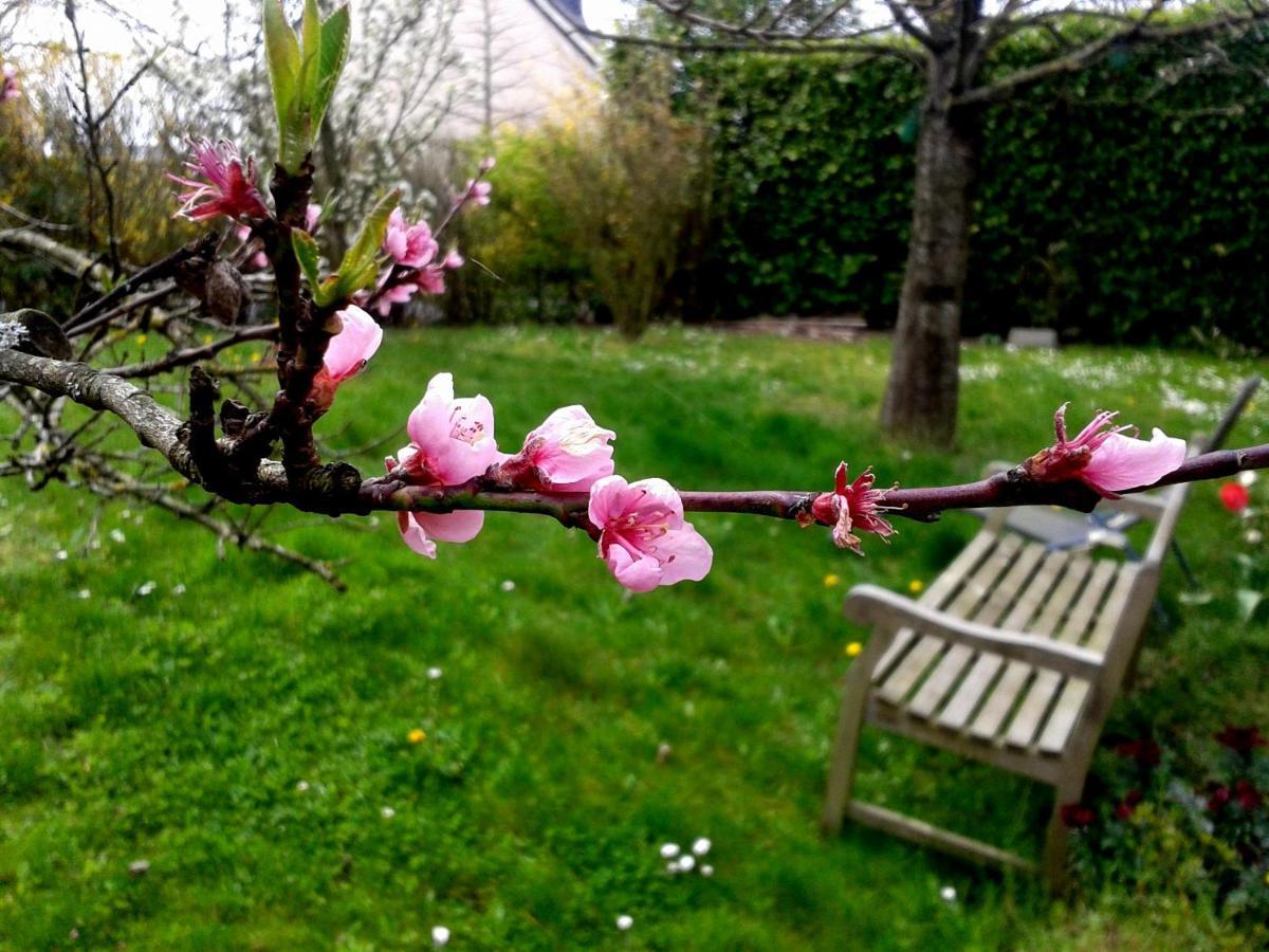 Maison La Chapelle Bed and Breakfast Esterno foto